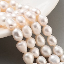 PeachPuff Natural Cultured Freshwater Pearl Beads Strands, Grade 5A, Oval, PeachPuff, 8~9mm, Hole: 0.6mm, about 19pcs/strand, 7.48''(19cm)