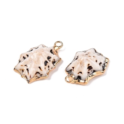 Морская Ракушка Подвески натурального морских раковин, подвески в форме ракушек с золотистыми железными петлями, цвет морской раковины, 18~28x10~21x6~12 мм, отверстие : 1.8~2.5 мм