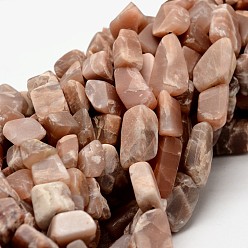 Sunstone Nuggets Natural Sunstone Beads Strands, 11~34x9~15mm, Hole: 1mm, about 15.16 inch