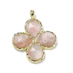 Вишневый агат Подвески из натурального вишневого агата с огранкой, Подвески в виде клевера с латунными застежками с гальваническим покрытием., золотые, 30~31x25.5x5.5~6 мм, отверстие : 4x3 мм