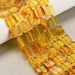 Золотистый Янтарные шарики нити, квадратный, с бисером, золотые, 10~11.5x10.5~12x4~5 мм, отверстие : 0.6 мм, около 30~31 шт / нитка, 15~15.24 дюйм (38.1~38.7 см)