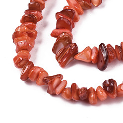 Orange Red Natural Freshwater Shell Beads Strands, Dyed, Chips, Orange Red, 2~6x4~14x4.5~8.5mm, Hole: 0.7~0.8mm, about 258~292pcs/strand, 31.10 inch~32.05 inch(79cm~81.4cm)