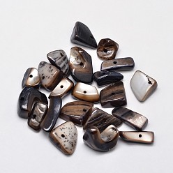 Коричневый Окрашенные натуральные пресноводные ракушки, самородки, чипсы, бусины, кофе, 10~20x5~15 мм, отверстие : 1 мм, Около 330 шт / 500 г