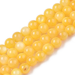Orange Natural Freshwater Shell Beads Strands, Dyed, Round, Orange, 2.5mm, Hole: 0.5mm, about 122~136pcs/strand, 14.57 inch~15.63 inch(37cm~39.7cm)