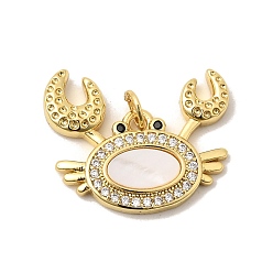 Настоящее золото 18K Латунные микропаве прозрачные подвески с фианитом, с естественной оболочке, крабовые прелести, долговечный, без кадмия и без свинца, стойки покрытие, реальный 18 k позолоченный, 18x23x3 мм, Перейти кольцо: 5x1 мм, внутренний диаметр: 3.5 мм