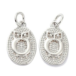 Платинированный Покрытие стойки Покрытие стойки латунные подвески, с целью перехода в кольце, долговечный, , овальные с совой, Реальная платина, 16x10x2 мм, отверстие : 3 мм