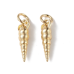 Настоящее золото 18K Экологически чистые подвески из латуни с гальванопокрытием, с целью перехода в кольце, без свинца и без кадмия, долговечный, очарование раковины, реальный 18 k позолоченный, 16x4.5x4 мм, отверстие : 3.5 мм