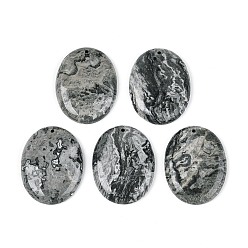 Oval Кулоны из натурального камня, овальные амулеты, 43x32.5~33x7~7.5 мм, отверстие : 1.7~1.8 мм