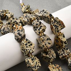 Далматинских Джаспер Необработанные грубые натуральные нити бусин из далматинской яшмы, самородки, с бисером, 11.5~14.5x9~16x7~15.5 мм, отверстие : 1.2~1.4 мм, около 16~17 шт / нитка, 7.87''~8.27'' (20~21 см)