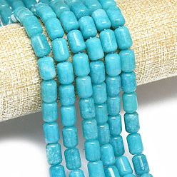 Светло-Голубой Натуральный Malaysia нефритовые бусы пряди, окрашенная и подогревом, колонка, Небесно-голубой, 11.5~12x7.5~8.5 мм, отверстие : 1~1.2 мм, около 31~32 шт / нитка, 15.16'' (38.5 см)