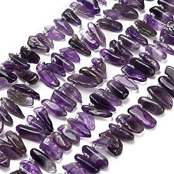 Аметист Природный аметист нитей бисера, самородки, Топ пробуренной, с бисером, 7~17x4.5~7.5 мм, отверстие : 0.7~0.8 мм, около 57~58 шт / нитка, 15.75''~16.14'' (40~41 см)