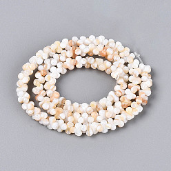Папайя Оранжевый Естественных пресноводных оболочки бисер нитей, формой кости, papayawhip, 4~6x2.5~3.5 мм, отверстие : 0.5 мм, около 176~181 шт / нитка, 14.96~15.55 дюйм (38~39.5 см)