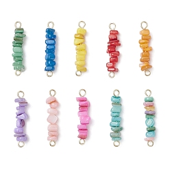 Золотой 10 шт. 10 цвета, натуральные пресноводные ракушки, крашеные, подвески-соединители из бусин, с 304 двойными петлями из нержавеющей стали, разноцветные, золотые, 28.5~29x5~6x5~6 мм, отверстие : 2 мм, 1 шт / цвет