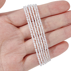 Лунный Камень 2 нити 2 стили нити из натурального лунного камня, граненые, круглые, 2 мм, отверстие : 1 мм, около 180 шт / нитка, 1 прядь / стиль