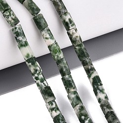 Green Spot Jasper Natural Green Spot Jasper Beads Strands, Hexagonal Prism, 5~7.5x3.5~4.5mm, Hole: 0.6~0.8mm, about 57~64pcs/strand, 14.76~15.55 inch(37.5~39.5cm)