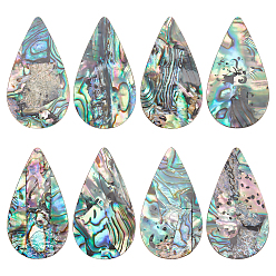 Teardrop Естественно Ракушка Пауа кабошоны, кабошоны из ракушек односторонние, овальная/каплевидная форма, слеза, 34x19x1.5 мм, 8 шт / коробка