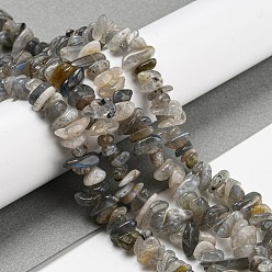 Labradorite Natural Labradorite Beads Strands, Chip, 5~8mm, Hole: 1mm, about 33 inch(84cm)