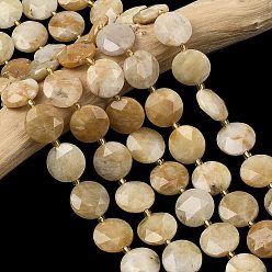 Топаз Нефрит Природный Топаз нефрита бисер нитей, граненый шестиугольный разрез, плоско-круглые, с бисером, 15.5x5.5~6 мм, отверстие : 0.8~1 мм, около 23 шт / нитка, 15.75~15.83'' (40~40.2 см)