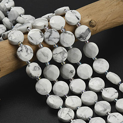 Говлит Природные Говлит бисер нитей, граненый шестиугольный разрез, плоско-круглые, с бисером, 10~10.5x6.5~7 мм, отверстие : 1.2 мм, около 31 шт / нитка, 14.53~14.72'' (36.9~37.4 см)