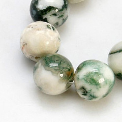 Древесный агат Натурального дерева агат бисер нитей, круглые, средний морской зеленый, 10 мм, отверстие : 1 мм