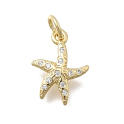 Морская звезда Латунные микропаве прозрачные кубические циркониевые подвески, без кадмия и без свинца, стойки покрытие, долговечный, реальный 18 k позолоченный, морская звезда, 13.5x10.5x2.5 мм, отверстие : 3.5 мм