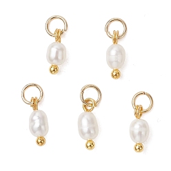 Настоящее золото 18K Подвески из натурального пресноводного жемчуга, Рисовые подвески с латунной и нержавеющей стальной фурнитурой, белые, реальный 304 k позолоченный, 18 мм, Перейти кольцо: 9~10x4 мм, внутренний диаметр: 4.5x1 мм