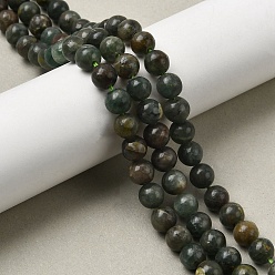 Апатит Естественный зеленый апатит бисер нити, круглые, 8 мм, отверстие : 1.4 мм, около 47~49 шт / нитка, 14.84''~15.83'' (37.7~40.2 см)