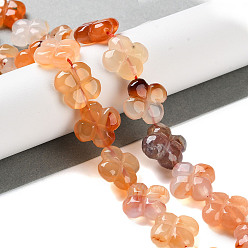 Red Agate Natürliche Achat Perlen Stränge, 4-Blütenblatt Blüte, 16x15.5x5.5 mm, Bohrung: 1 mm, ca. 24 Stk. / Strang, 2.76'' (7 cm)