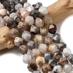 Бамбуковые Листья Агат Природные бамбуковых листьев агат бисер нитей, звезды вырезать круглые бусы, граненые, 9~10x9~10x9~10 мм, отверстие : 1~1.4 мм, около 38~40 шт / нитка, 14.88'' (15.08'' см)