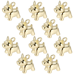 Настоящее золото 18K 10 шт. Латунные подвески, собака прелести, без свинца и без кадмия, стойки покрытие, долговечный, реальный 18 k позолоченный, 10.5x5.5x10 мм, отверстие : 1.6 мм
