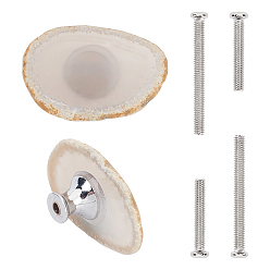 Гейнсборо Ручки ящика из окрашенного натурального агата, ручка ящика аномальной формы, с пьедесталом из сплава, железа винтов, для дома, кабинет, шкаф и комод, платина, светло-серые, 51.5~61.5x32~37x18~19 мм, отверстие : 4.2 мм, винты: 6x42 мм, контактный: 4 мм, 6x27 мм, штифты : 4 мм