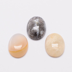 Natural Agate Oval Natural Agate Cabochons, 18x13x6mm