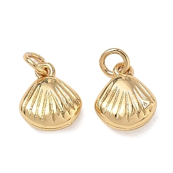 Real 18K Gold Plated Brass Charms, Shell Shape Charms, Mirror Polished Finish, Real 18K Gold Plated, 10x8x3.5mm, Hole: 2.5mm