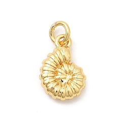 Shell Shape Латунь прелести, долговечный, стойки покрытие, реальный 18 k позолоченный, с прыжковых колец, формы раковины, 11x7.5x2 мм