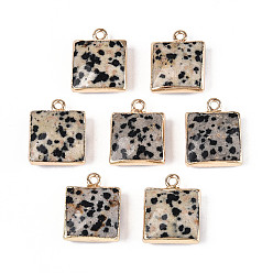 Далматинских Джаспер Граненые подвески из натуральной далматинской яшмы, квадратные латунные подвески, золотые, 18x14~15x6~6.5 мм, отверстие : 1.8 мм