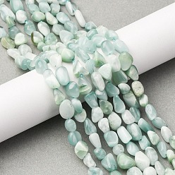 Natural Glass Бусины из натурального стекла, самородки, упавший камень, 6.5~10x5~7x4~6.5 мм, отверстие : 1 мм, около 46~53 шт / нитка, 15.16''~15.75'' (38.5~40 см)