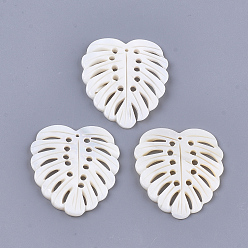 Морская Ракушка Подвески из пресноводных оболочек, подвески из тропических листьев, лист монстры, цвет морской раковины, 43~44x38~39x2~4 мм, отверстие : 1.5~2.5 мм