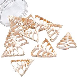 Trochus Shell Natural Trochid Shell/Trochus Shell Beads Strands, Top Drilled Beads, Triangle, 37~63x38~56x7~8mm, Hole: 0.5mm, about 10pcs/box