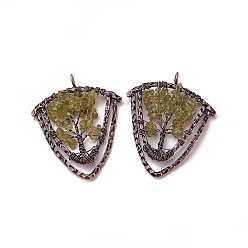 Перидот Натуральные перидот чип большие подвески, с латунной фурнитурой , щит, Красная медь, 57~59x47.5x8 мм, отверстие : 5 мм