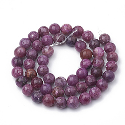 Lepidolite Natural Lepidolite/Purple Mica Stone Beads Strands, Spodumene Beads, Round, 8~9mm, Hole: 1mm, about 49~53pcs/strand, 15.7 inch~16.1 inch