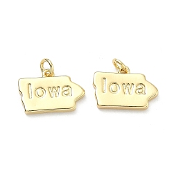 Настоящее золото 18K Латунные подвески, самородки с оберегами из слов, долговечный, стойки покрытие, без свинца и без кадмия, реальный 18 k позолоченный, 12.5x18x2.5 мм, Перейти кольцо: 5x1 мм, 3 мм внутренним диаметром