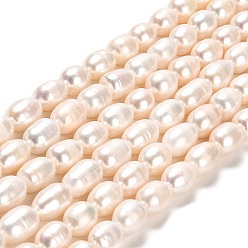 Лайм Нити из натурального культивированного пресноводного жемчуга, рис, класс АА, желто-зеленые, 8~11x7~7.5 мм, отверстие : 0.7 мм, около 35~36 шт / нитка, 13.39'' (34 см)