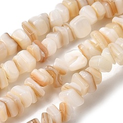 Морская Ракушка Естественных пресноводных оболочки бисер нитей, самородки, цвет морской раковины, 4~11x4.5~6x1~5 мм, отверстие : 1 мм, 15.43~15.67'' (39.2~39.8 см)