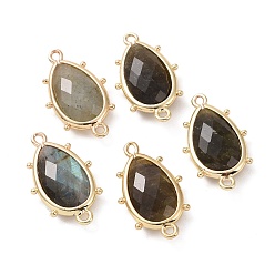 Лабрадорита Подвески из натурального лабрадорита, с позолоченными латунными петлями по краям, граненые, слеза, 24x14.5x5 мм, Отверстие : 1.2 мм & 1.4 мм
