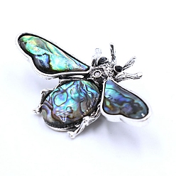 чирок Пауа оболочки броши, со стразами, насекомое, зелено-синие, 36x60 мм