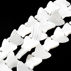 Seashell Color Natural Trochid Shell/Trochus Shell Beads Strands, Butterfly, Seashell Color, 11~12x13~13.5x2mm, Hole: 0.7mm, about 35~38pcs/strand, 14.17~14.96''(36~38cm)