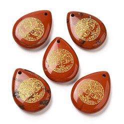 Красный Камень Подвески-капли из натуральной красной яшмы, подвески-слезинки с гравированным золотым деревом жизни, 33~33.5x24.5~25x7~7.5 мм, отверстие : 2 мм