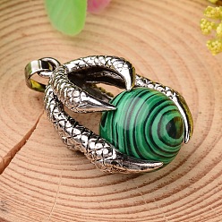 Малахит Природного малахита подвески, с латунной фурнитурой античного бронзового тона, коготь с круглым шаром, 34.5x23x16 мм, отверстие : 5x7 мм