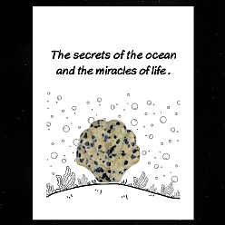 Далматинских Джаспер Натуральная далматинская яшма, резные фигурки в форме ракушек, орнамент, для домашнего украшения рабочего стола, Подарочная карта своими руками с вдохновением, оболочкой: 30 mm