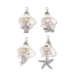 Mixed Shapes 4 шт 4 стили натуральные спиральные ракушки большие подвески, Подвески из сплава океанических животных с акриловыми бусинами под жемчуг и фурнитурой из нержавеющей стали, античное серебро, разнообразные, 304 мм, отверстие : 42~53 мм, 4x3 шт / стиль